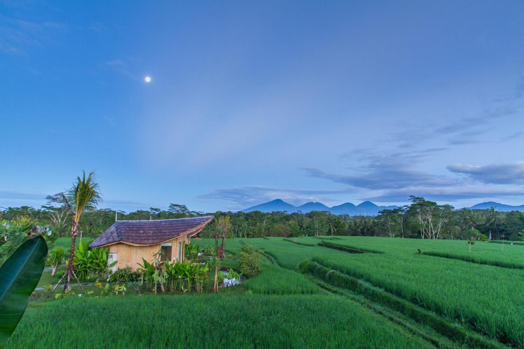 Ipian Cinta By Pramana Villas Ubud  Exterior photo