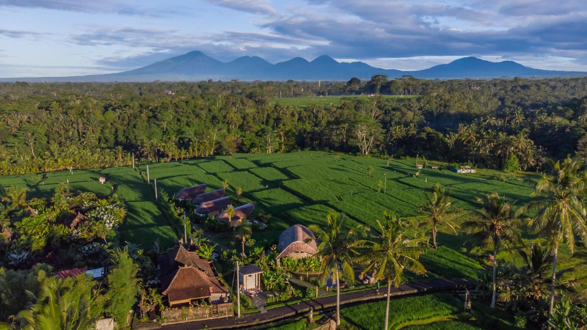 Ipian Cinta By Pramana Villas Ubud  Exterior photo